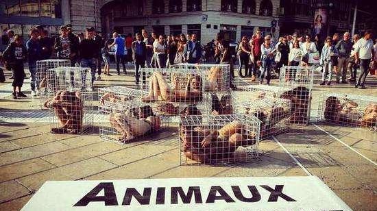 歷史陰影 19世紀美國對清朝女性的商品化與展覽