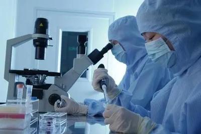 李逵還是李鬼？相似專業(yè)名稱辨析 生物技術(shù)與生物技術(shù)開(kāi)發(fā)，2021年考生必讀